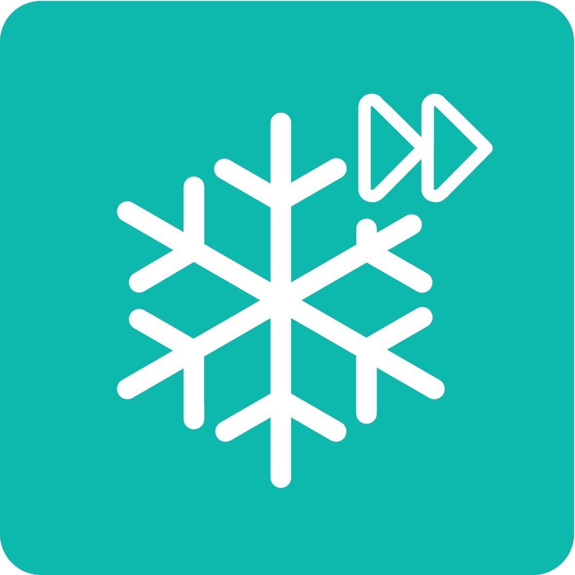 FastFreeze-icon