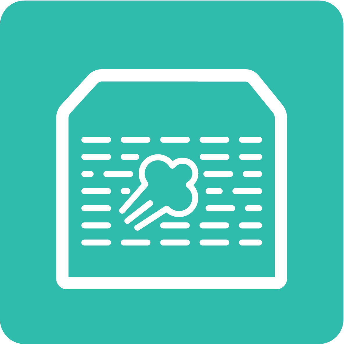 PureSteam-icon